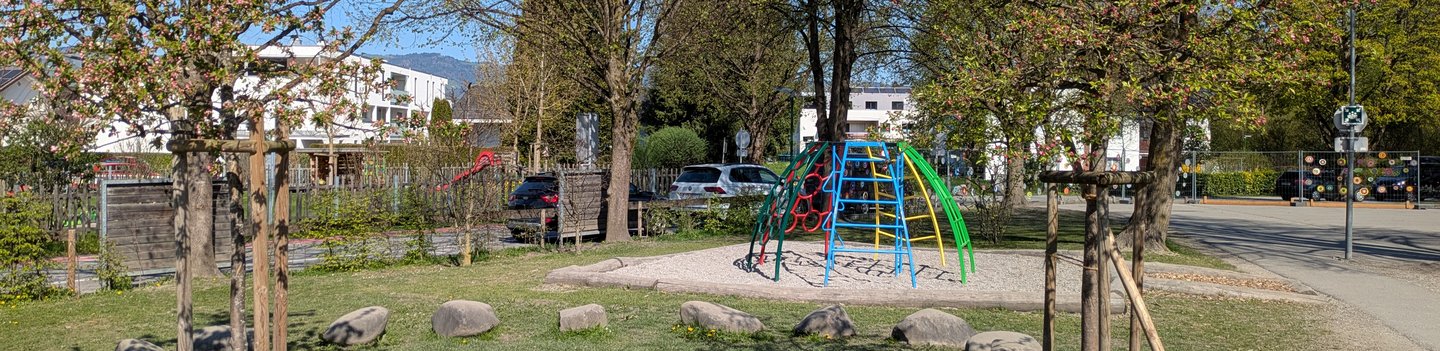 PXL_20250406_091606768